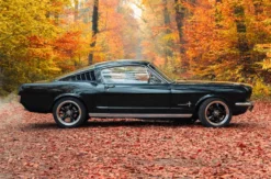 1966er Mustang Fastback mieten Hamburg (8 Std.)