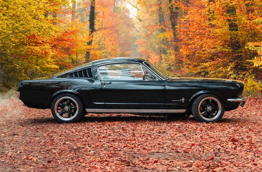 1966er Mustang Fastback mieten Hamburg (8 Std.)