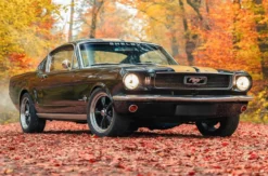 1966er Mustang Fastback mieten Hamburg (8 Std.)