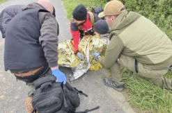Erste Hilfe Kurs Waldkirchen an der Thaya