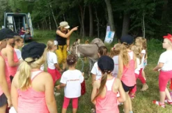 Eseldetektive im Zauberwald Fichtenau