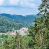 Eselwanderung Eppenbrunn für 2 (2 Std.)