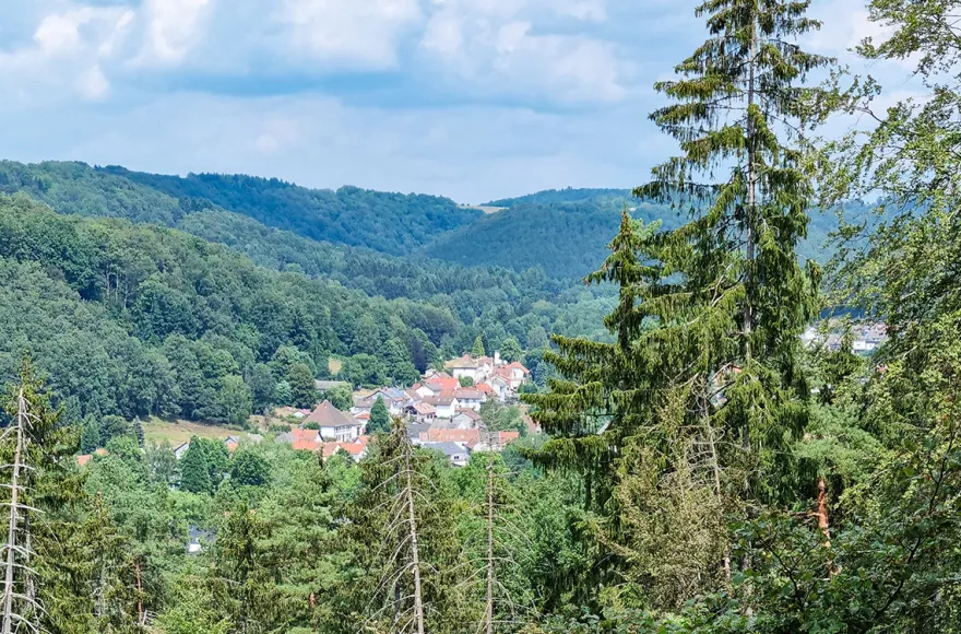 Eselwanderung Eppenbrunn für 2 (2 Std.)