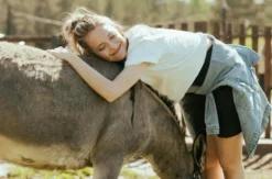 Eselwanderung für 2