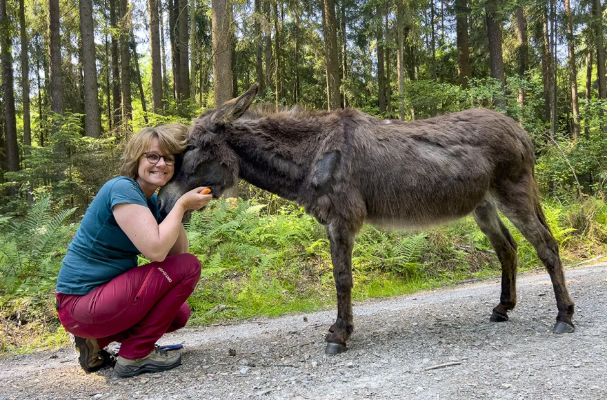 Eselwanderung für 2 Fichtenau
