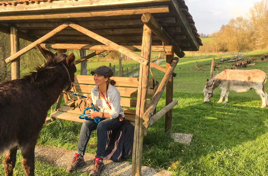 Eselwanderung für 2 Fichtenau