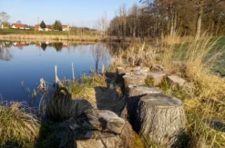 Eselwanderung für 2 Fichtenau