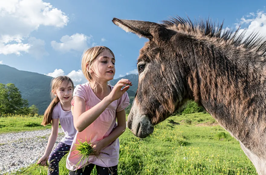 Eselwanderung in Untrasried für 2