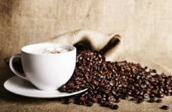 Espresso Seminar