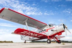 Exklusiver Rundflug mit Wagyu-Steak BBQ Jahnsdorf