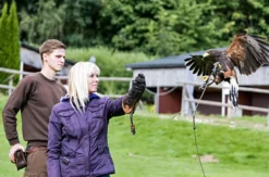 Falkner Erlebnis Wunsiedel
