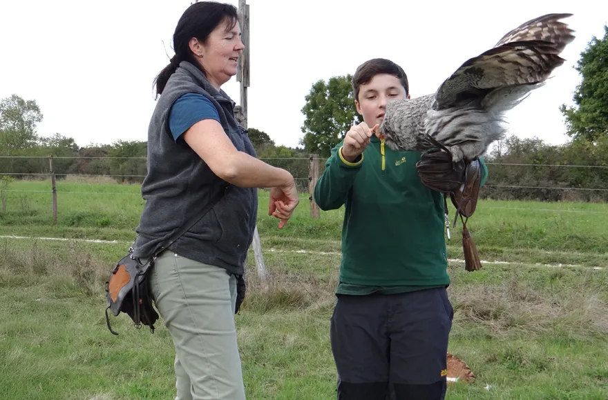 Falkner für einen Tag Riedenburg (Weißkopfseeadler)