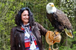 Falkner für einen Tag Riedenburg (Weißkopfseeadler)