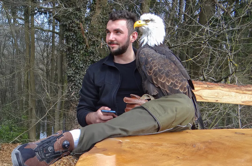 Falkner für einen Tag Riedenburg (Weißkopfseeadler)