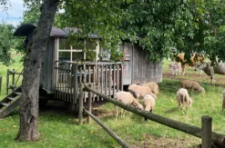 Familienurlaub im Bienenwagen (2 Nächte)
