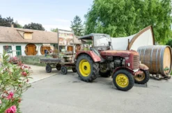 Familienurlaub im Fass für 3 (2 Nächte)