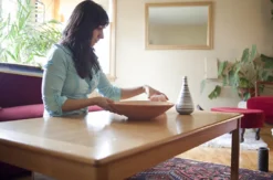 Feng Shui Online Kurs