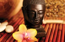 Feng Shui Online Kurs