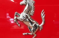 Ferrari 360 Spider selber fahren Neumarkt Oberpfalz (50 min)