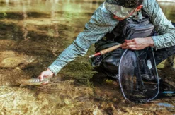 Fliegenfischen im Wettersteingebirge
