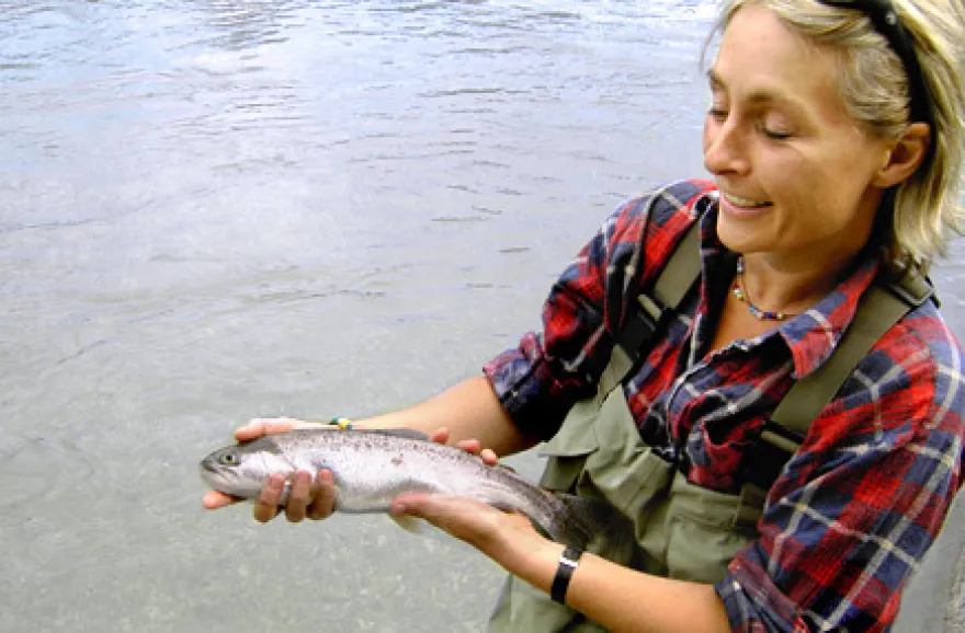 Fliegenfischen im Wettersteingebirge