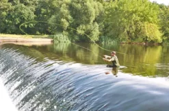 Fliegenfischen in Magdeburg (2 Tage)