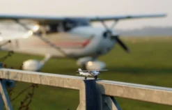 Flugzeug-Rundflug Hamburg