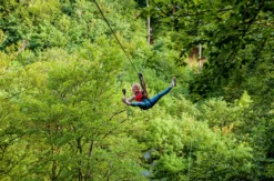 Flying Fox Berlingen (2,5 Std.)
