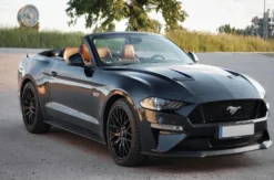Ford Mustang Cabrio mieten Bötzingen (1 Tag)