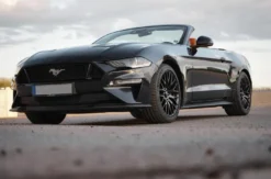 Ford Mustang Cabrio mieten Bötzingen (1 Tag)