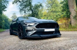 Ford Mustang 5.0 fahren Nordstemmen (1 Tag)