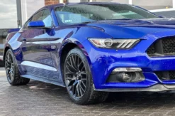 Ford Mustang fahren (7 Std.)