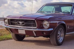 Ford Mustang Oldtimer fahren (2 Std.) Wees