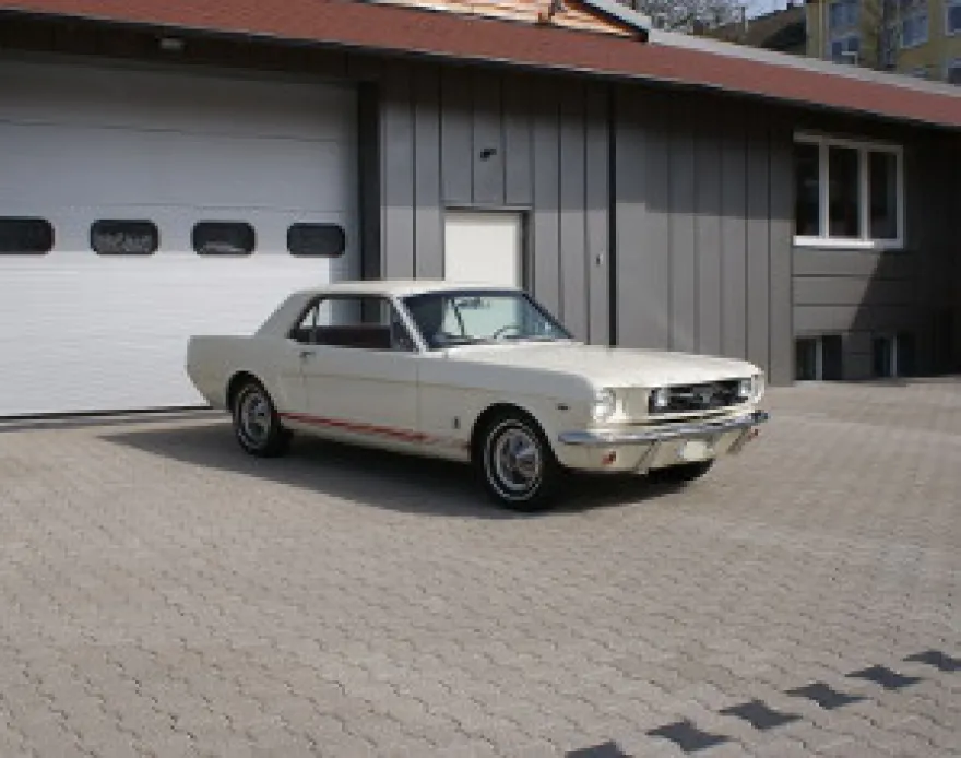 Ford Mustang Oldtimer fahren Meißenheim (2 Std.)