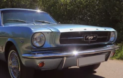 Ford Mustang Oldtimer fahren Wees (4 Std. )