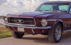 Ford Mustang Oldtimer fahren Wees (4 Std. )