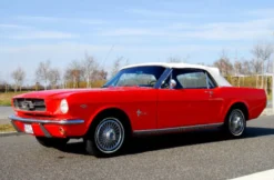 Ford Mustang Oldtimer fahren (2 Std.)