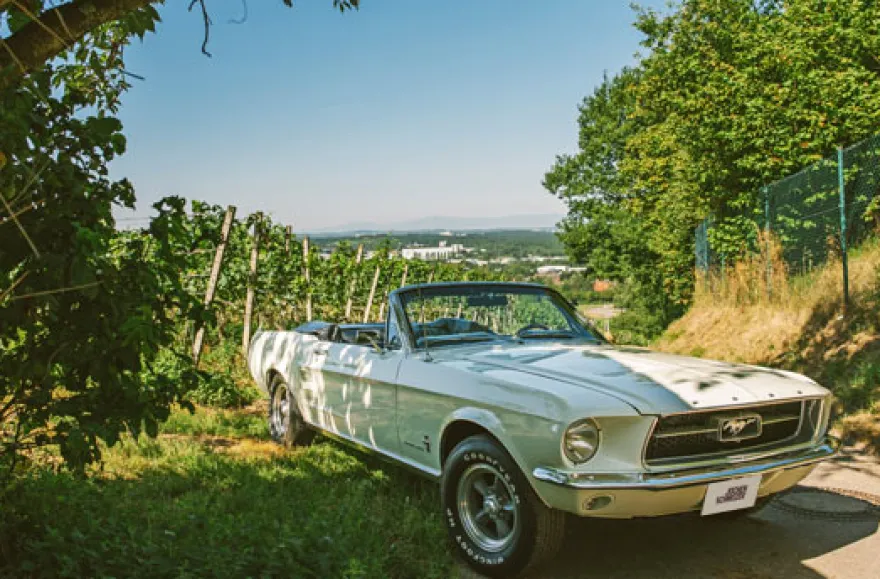 Ford Mustang Oldtimer fahren (2 Std.)
