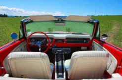 Ford Mustang Oldtimer fahren (2 Std.)