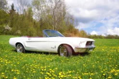 Ford Mustang Oldtimer mieten Thale