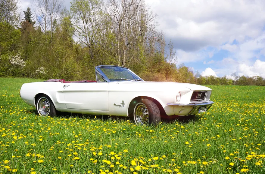 Ford Mustang Oldtimer mieten Thale