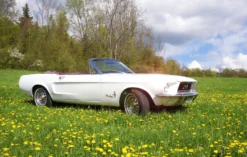 Ford Mustang Oldtimer Tagestour Thale