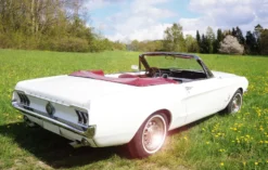 Ford Mustang Oldtimer Tagestour Thale