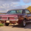 Ford Mustang Oldtimer Tagestour Wees