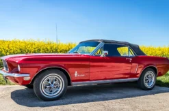 Ford Mustang Oldtimer Tagestour