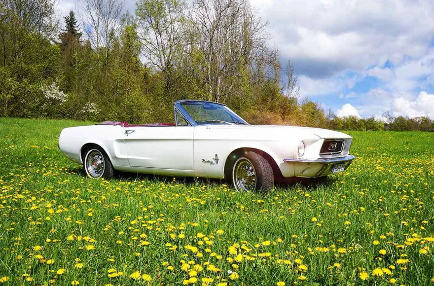 Ford Mustang Oldtimer Tagestour