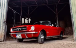 Ford Mustang Oldtimer Wickede (4 Std.)