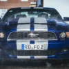 Ford Mustang Tagestour