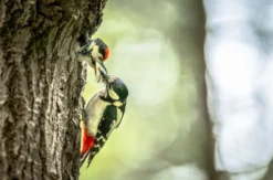 Fotografie Kurs Landsberg am Lech
