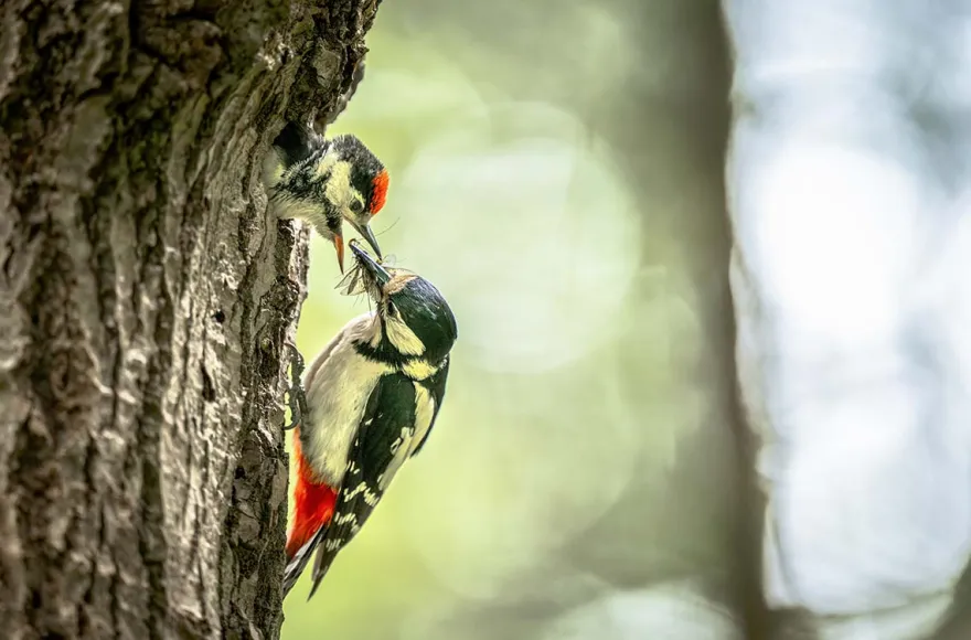 Fotografie Kurs Landsberg am Lech